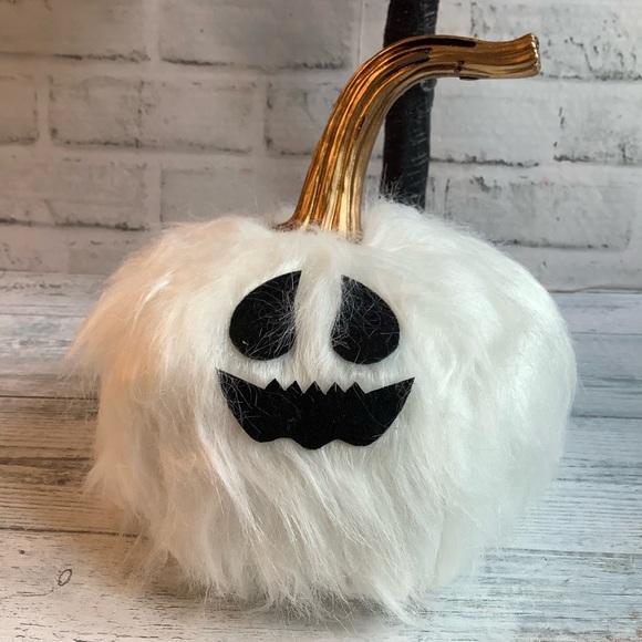 White Furry Pumpkin - Picture 6 of 6